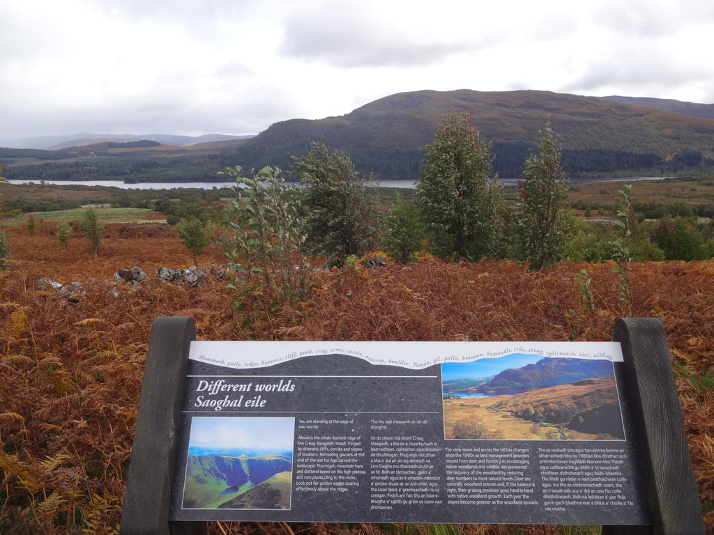 Glen Affric - wo Schottlands ursprüngliche Natur überlebt
